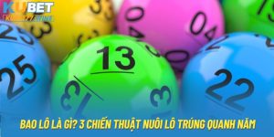 Bao Lô Là Gì? 3 Chiến Thuật Nuôi Lô Trúng Quanh Năm