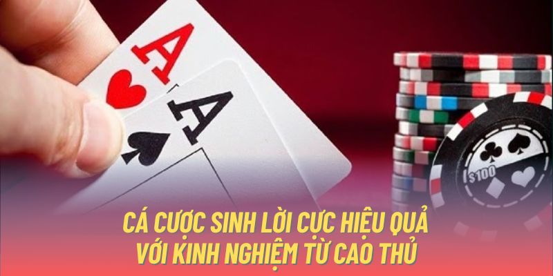 Cá cược sinh lời cực hiệu quả với kinh nghiệm từ cao thủ