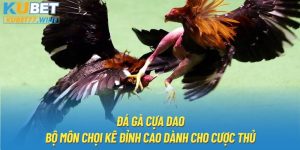 Đá Gà Cựa Dao - Bộ Môn Chọi Kê Đỉnh Cao Dành Cho Cược Thủ