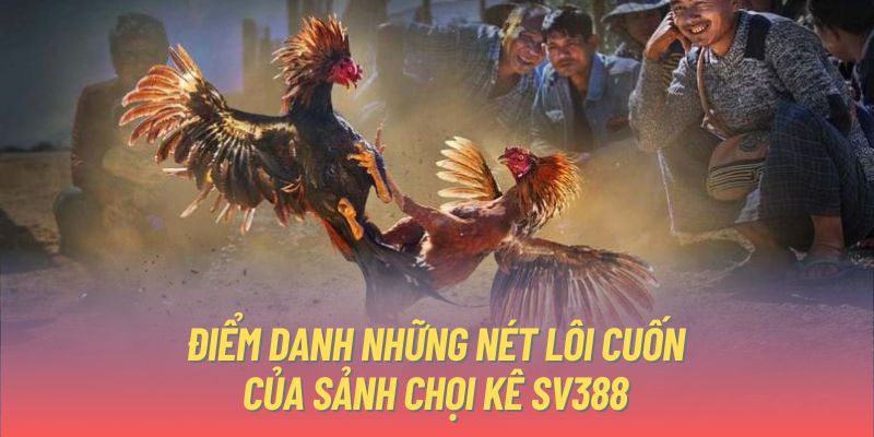 Điểm danh những nét lôi cuốn của sảnh chọi kê SV388