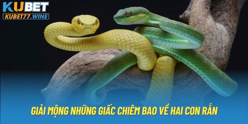 Giải mộng những giấc chiêm bao về hai con rắn