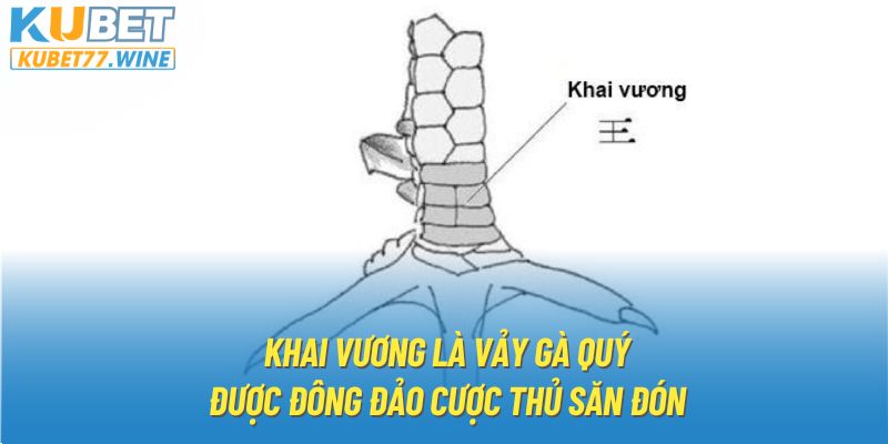 Khai Vương là vảy gà quý được đông đảo cược thủ săn đón