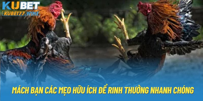 Mách bạn các mẹo hữu ích để rinh thưởng nhanh chóng