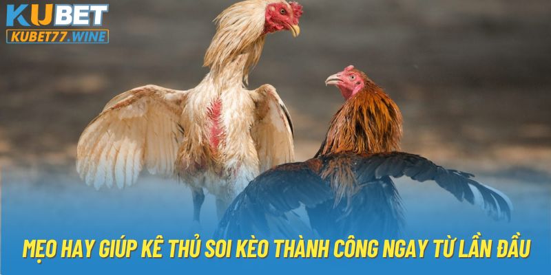 Mẹo hay giúp kê thủ soi kèo thành công ngay từ lần đầu