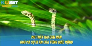 Mơ Thấy Hai Con Rắn | Giải Mã Sự Bí Ẩn Của Từng Giấc Mộng