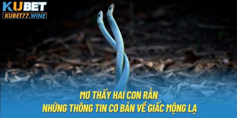 Mơ thấy hai con rắn - những thông tin cơ bản về giấc mộng lạ