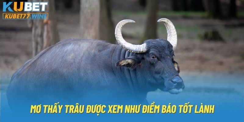 Mơ thấy trâu được xem như điềm báo tốt lành