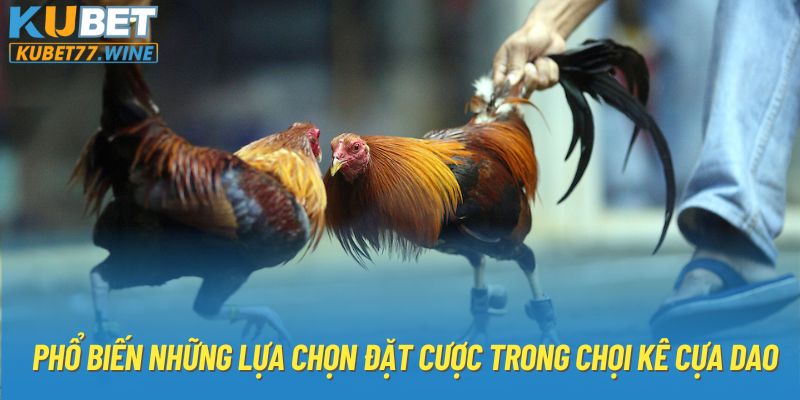 Phổ biến những lựa chọn đặt cược trong chọi kê cựa dao