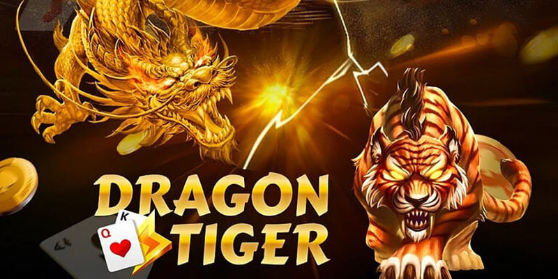 Cập nhật những mẹo cực hay khi tham gia đặt cược tại Dragon tiger