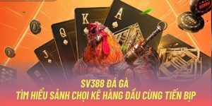 SV388 Đá Gà - Tìm Hiểu Sảnh Chọi Kê Hàng Đầu Cùng Tiến Bịp