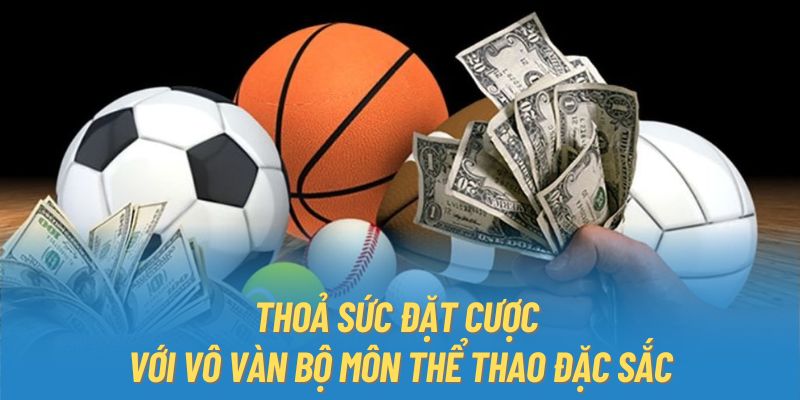 Thoả sức đặt cược với vô vàn bộ môn thể thao đặc sắc