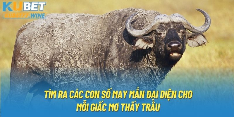 Tìm ra các con số may mắn đại diện cho mỗi giấc mơ thấy trâu