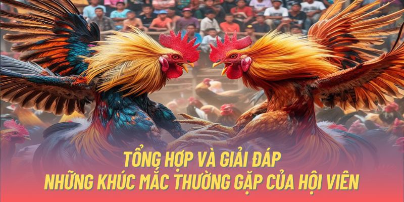 Tổng hợp và giải đáp những khúc mắc thường gặp của hội viên