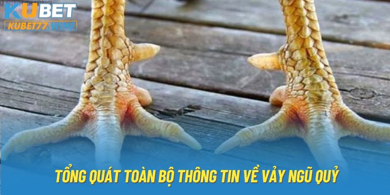 Tổng quát toàn bộ thông tin về vảy ngũ quỷ