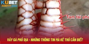 Vảy Gà Phủ Địa - Những Thông Tin Mà Kê Thủ Cần Biết