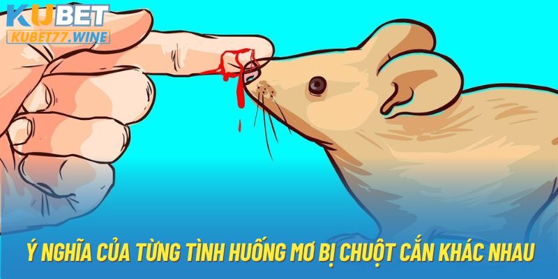 Ý nghĩa của từng tình huống mơ bị chuột cắn khác nhau