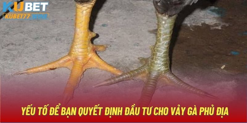 Yếu tố để bạn quyết định đầu tư cho vảy gà Phủ Địa