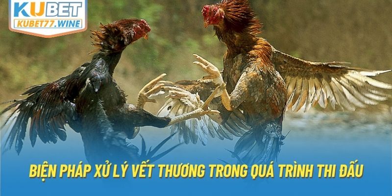 Biện pháp xử lý vết thương trong quá trình thi đấu