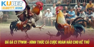 Đá Gà C1 Kubet77 - Hình Thức Cá Cược Hoàn Hảo Cho Kê Thủ