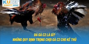 Đá Gà C2 Là Gì? Những Quy Định Trọng Chọi Gà C2 Cho Kê Thủ