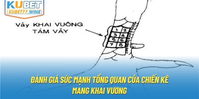 Đánh giá sức mạnh tổng quan của chiến kê mang khai vương