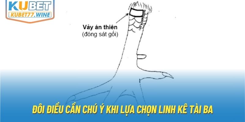 Đôi điều cần chú ý khi lựa chọn linh kê tài ba