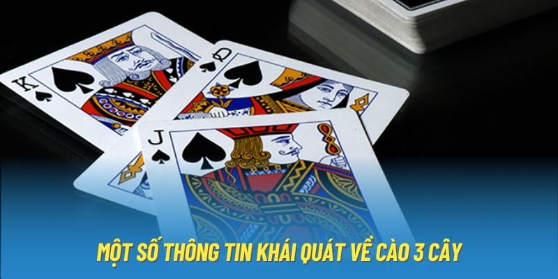 Một số thông tin khái quát về cào 3 cây