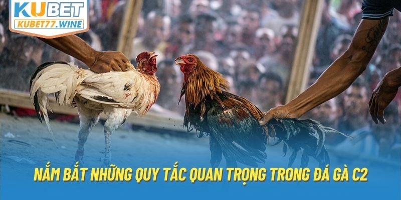 Nắm bắt những quy tắc quan trọng trong đá gà C2