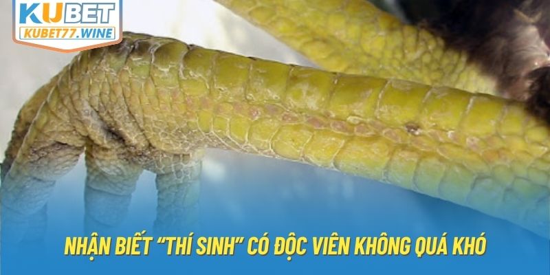 Nhận biết “thí sinh” có độc viên không quá khó