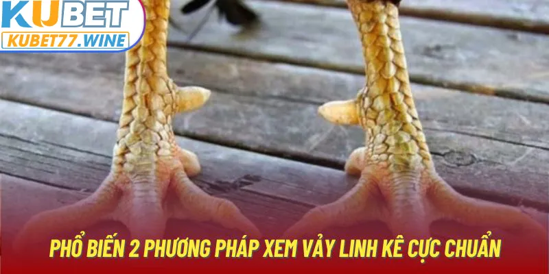 Phổ biến 2 phương pháp xem vảy linh kê cực chuẩn