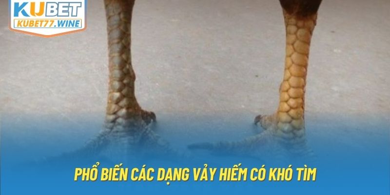 Phổ biến các dạng vảy hiếm có khó tìm