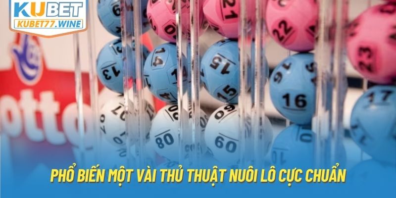 Phổ biến một vài thủ thuật nuôi lô cực chuẩn