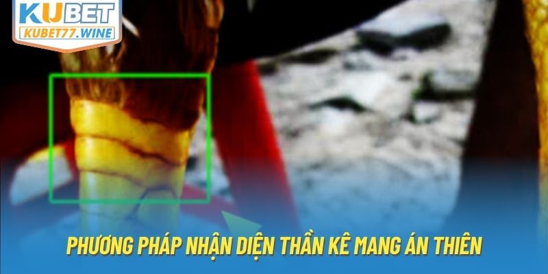 Phương pháp nhận diện thần kê mang án thiên