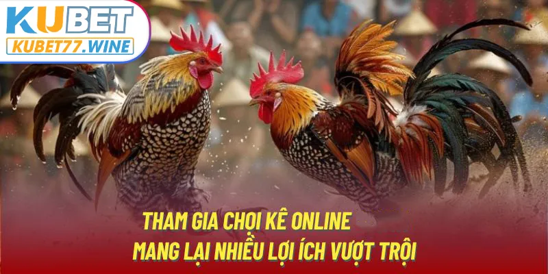 Tham gia chọi kê online kubet77 mang lại nhiều lợi ích vượt trội