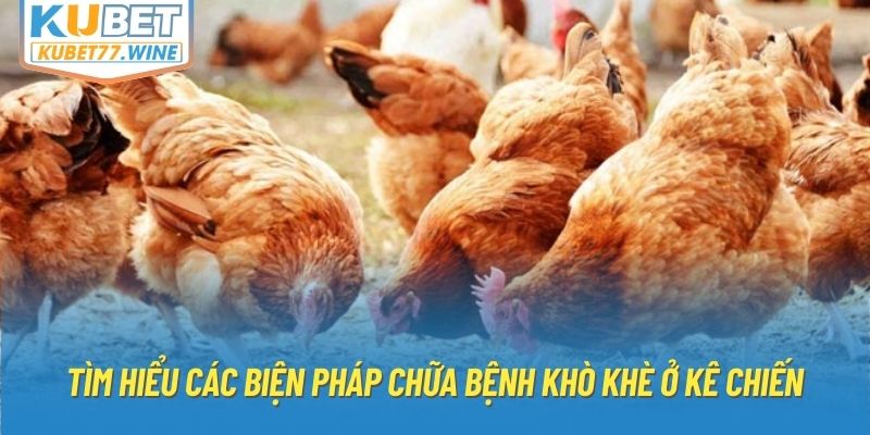 Tìm hiểu các biện pháp chữa bệnh khò khè ở kê chiến