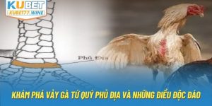 Khám Phá Vảy Gà Tứ Quý Phủ Địa Và Những Điều Độc Đáo