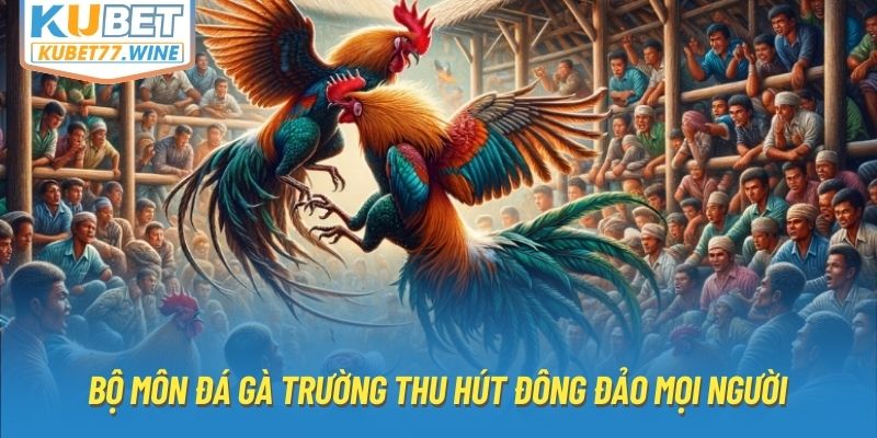 Bộ môn đá gà trường thu hút đông đảo mọi người