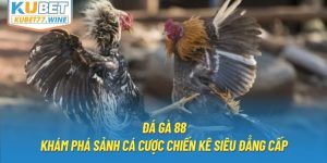 Đá Gà 88 - Khám Phá Sảnh Cá Cược Chiến Kê Siêu Đẳng Cấp