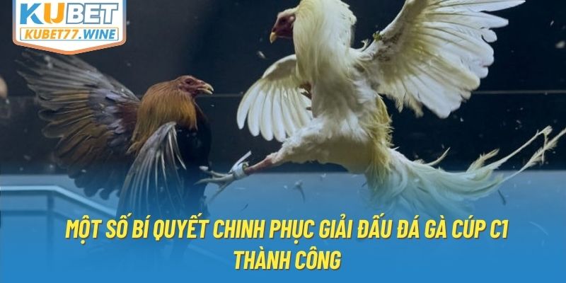 Một số bí quyết chinh phục giải đấu đá gà cúp C1 thành công