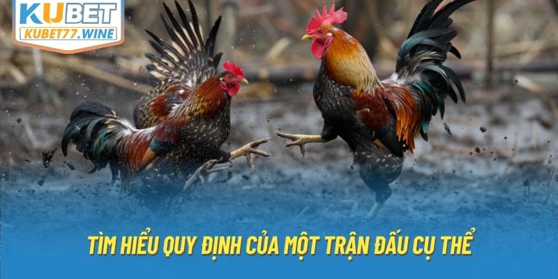 Tìm hiểu quy định của một trận đấu cụ thể